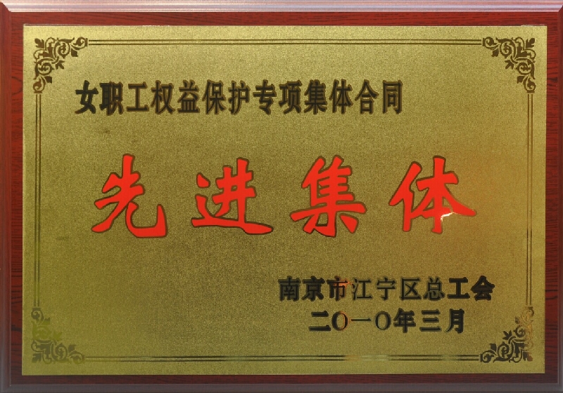 2009年度江寧區(qū)女職工權(quán)益保護專項集體合同先進集體